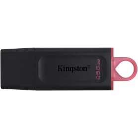 MEMORIA USB Kingston DataTraveler Exodia Memoria USB 256GB